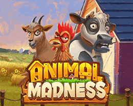 Animal Madness