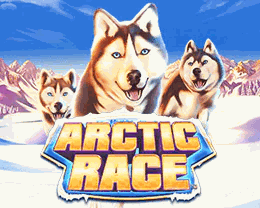 Arctic Race