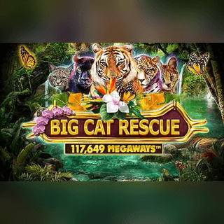 Big Cat Rescue Megaways
