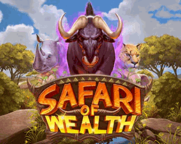 Safari of Wealth