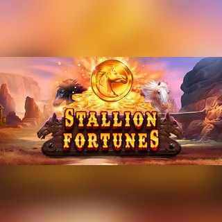 Stallion Fortunes