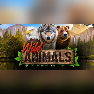 Wild Animals